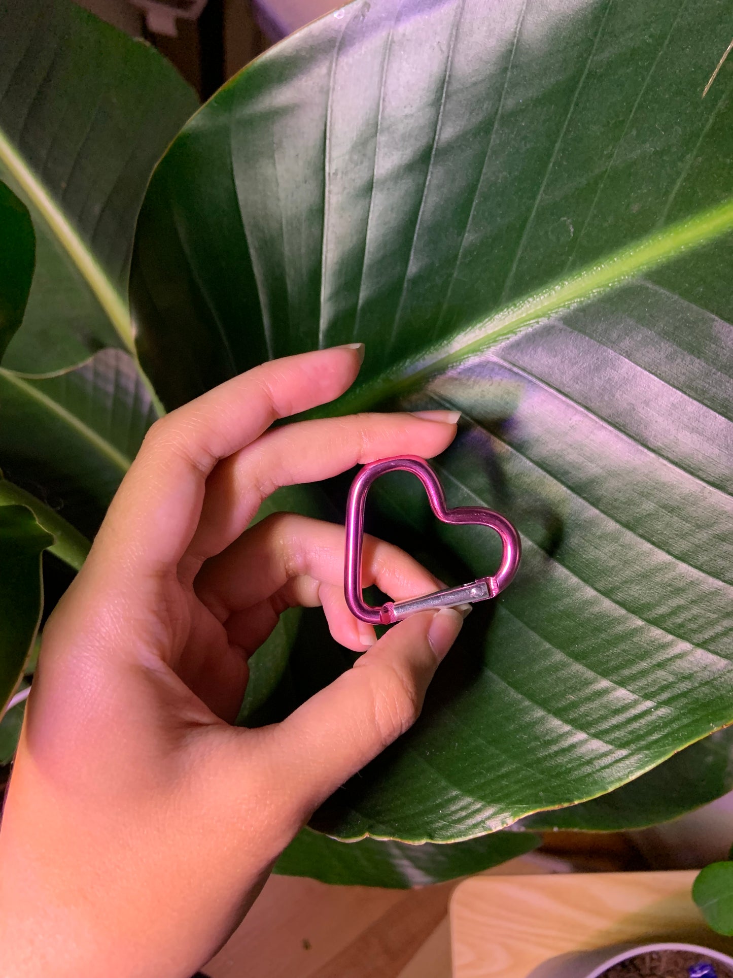 Keychain Carabiner
