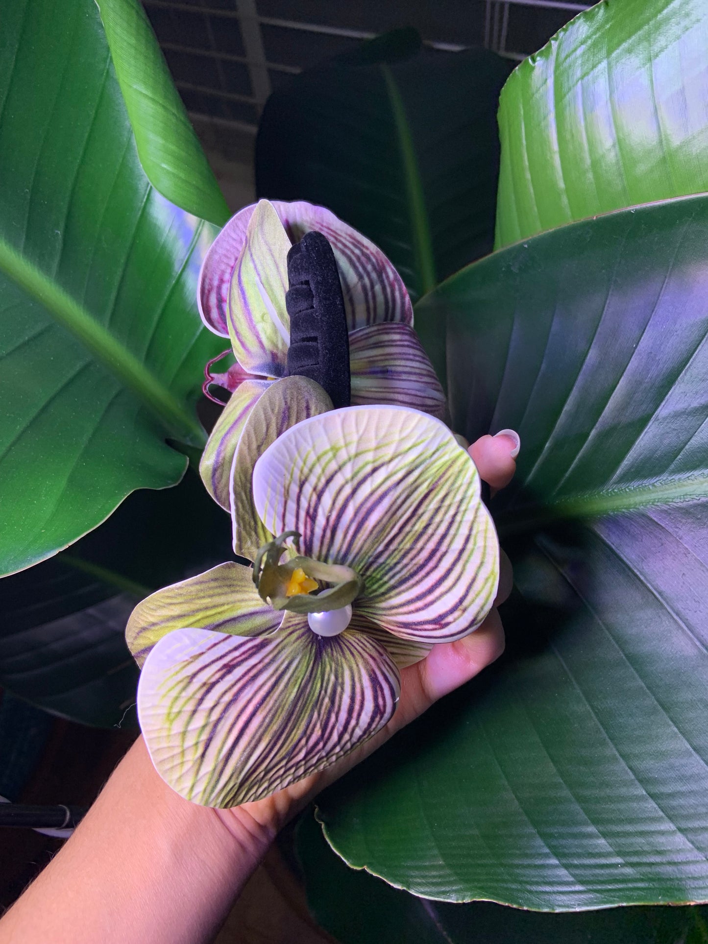 Orchid Flower Black Velvet Claw Clip