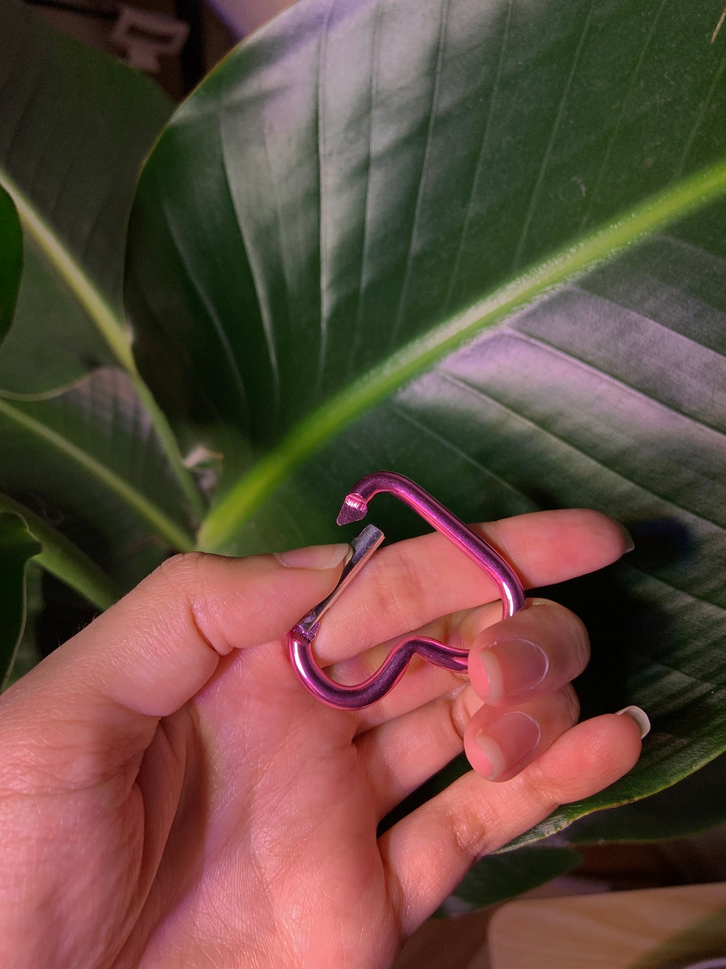Keychain Carabiner