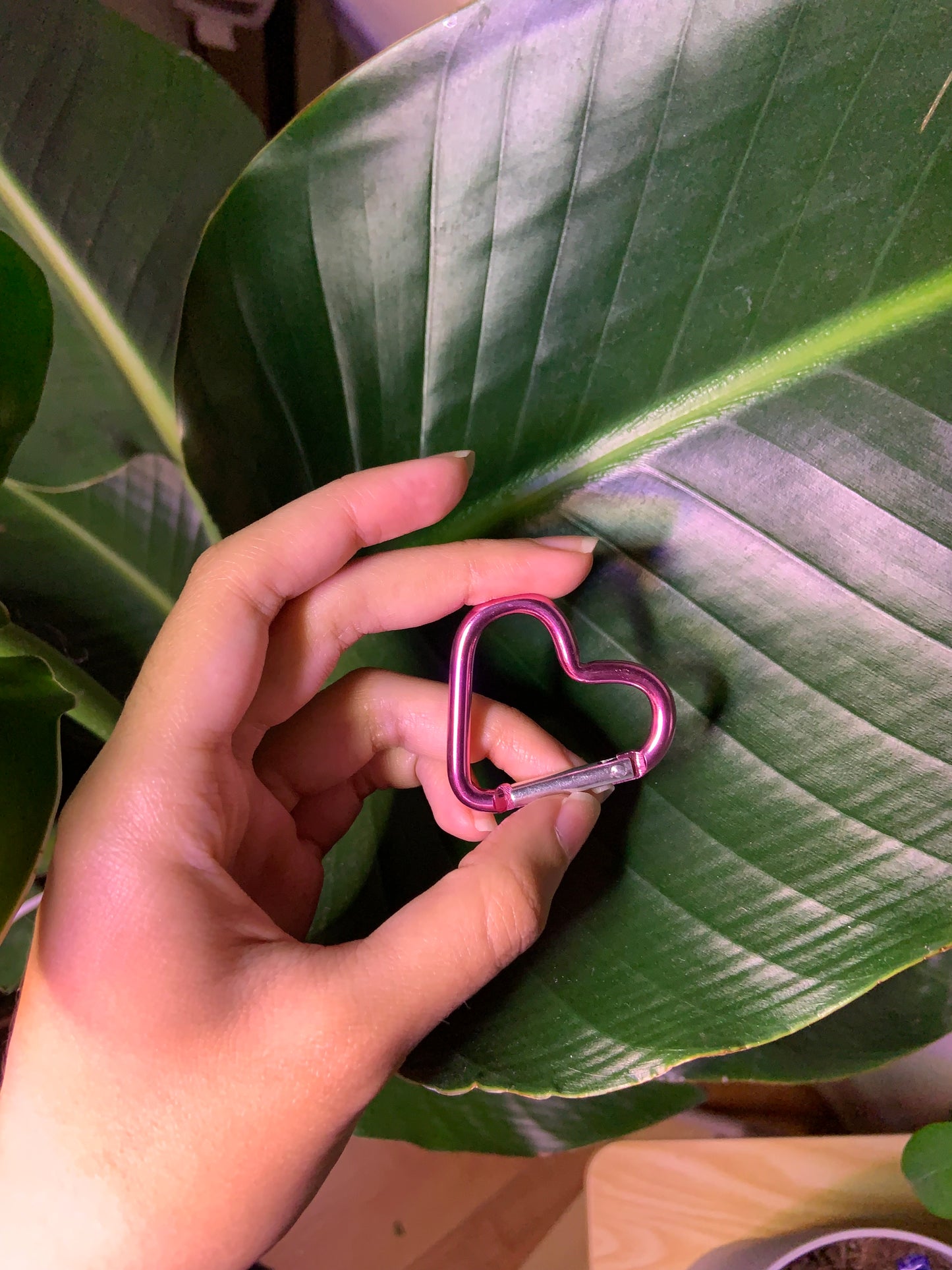Keychain Carabiner