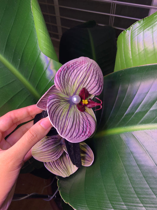 Orchid Flower Black Velvet Claw Clip