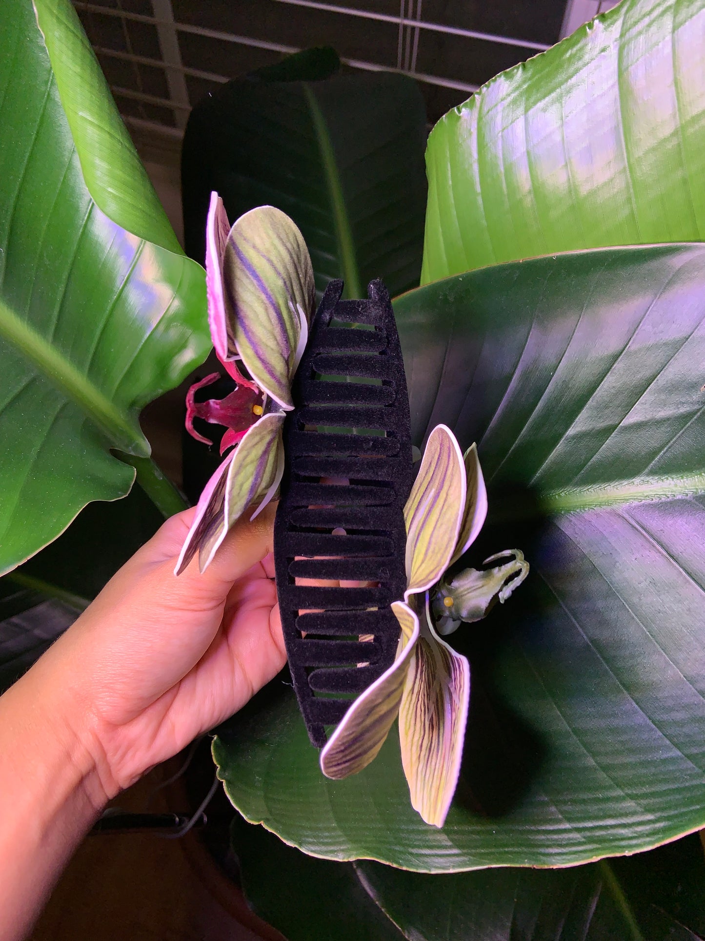 Orchid Flower Black Velvet Claw Clip
