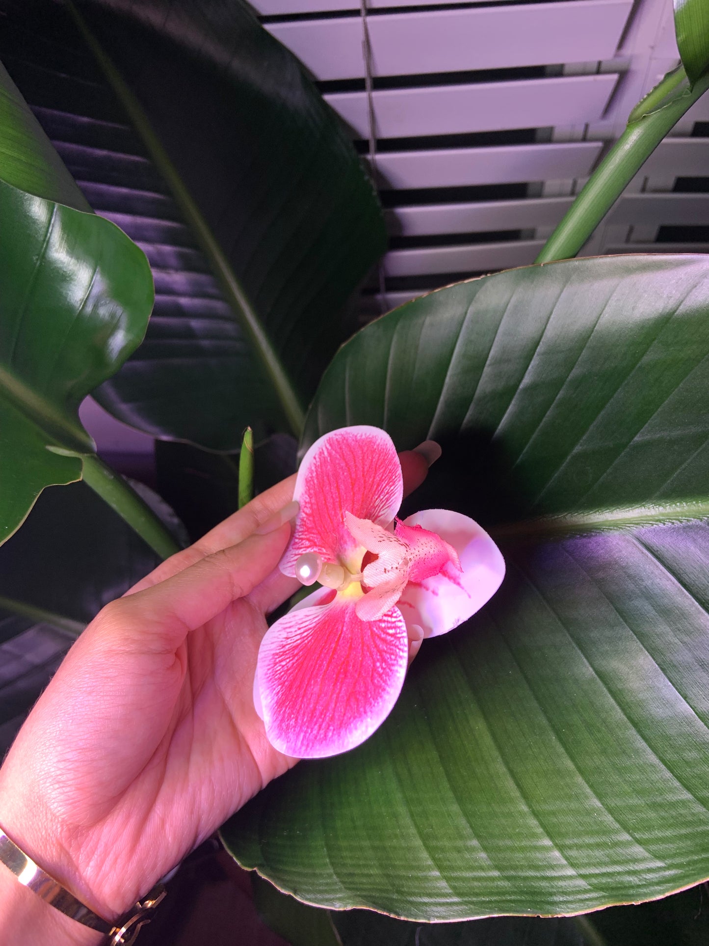 Bold pink flower hair clip