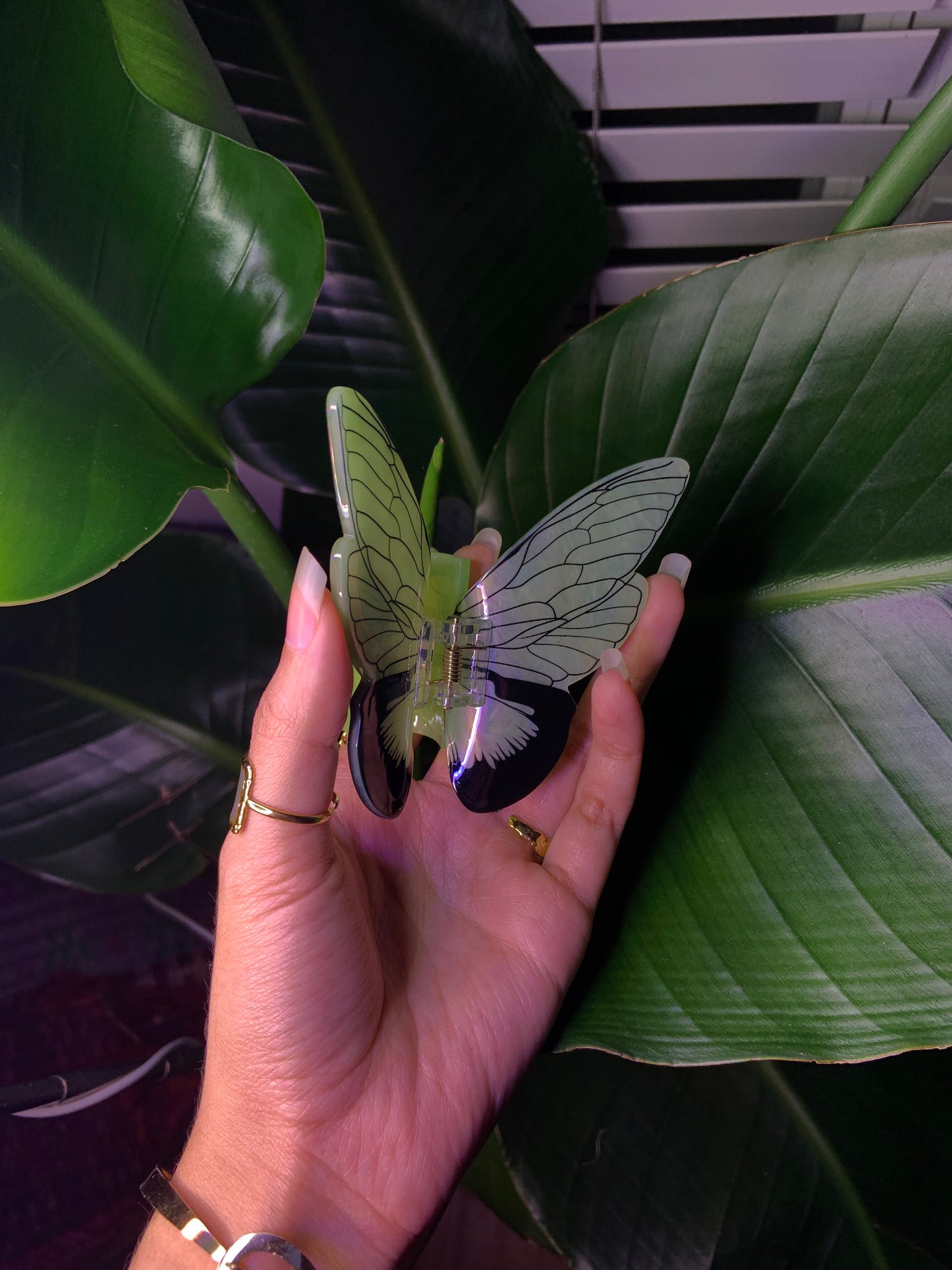 Green butterfly claw clip