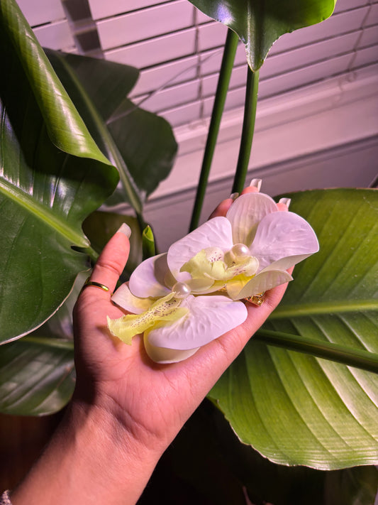 White Orchid Hair Clip